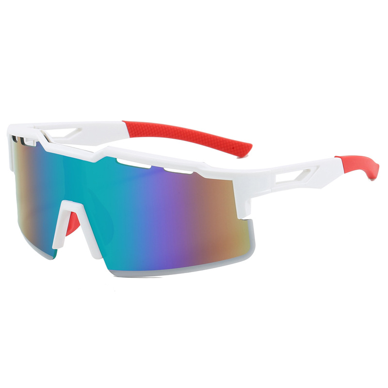 Biking Protective Sunglasses,  - Mountain Biking Protective Gear 评论和价格